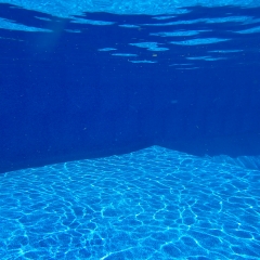 Marine Under Water