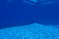 Marine Under Water